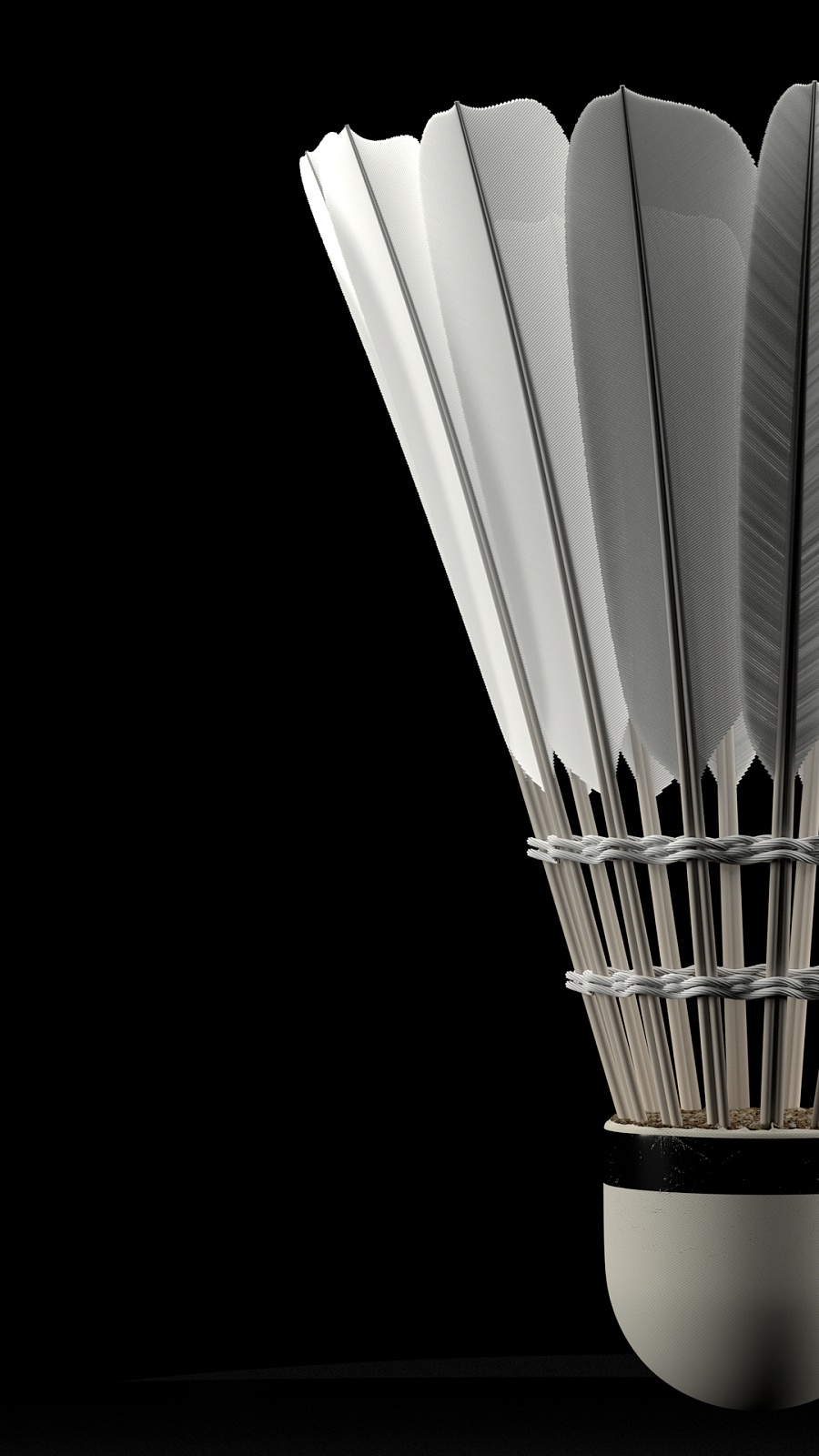 郑钦文表现 郑钦文表现